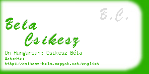 bela csikesz business card